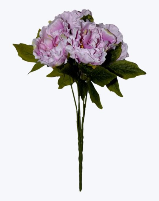 PEONIA OTOÑAL