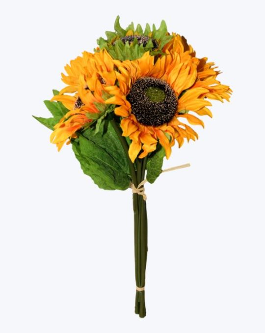 Bouquet girasol x 6