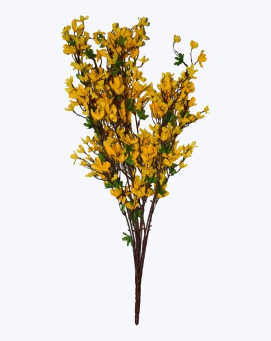 FORSYTHIA