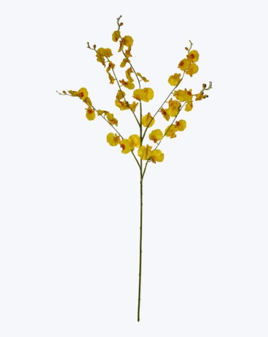 ORQUIDEA DANCING TEXTURA