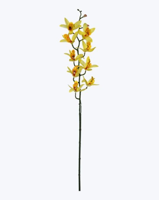 ORQUIDEA ASIATICA