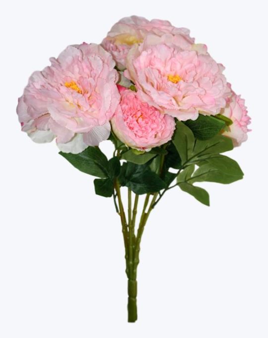 PEONIA ABIERTA CON BOTÓN