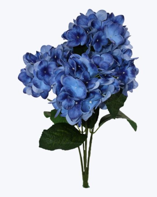 HORTENSIA X 5 TEXTURA