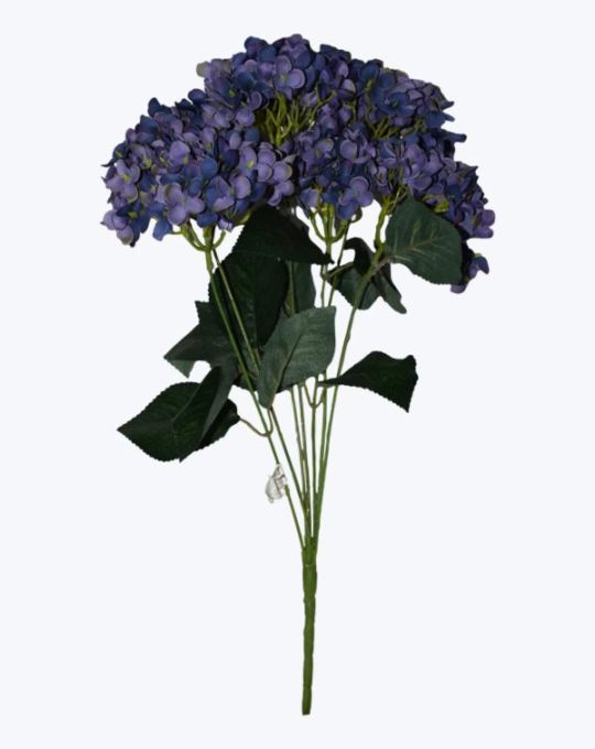 HORTENSIA X 7 OTOÑAL