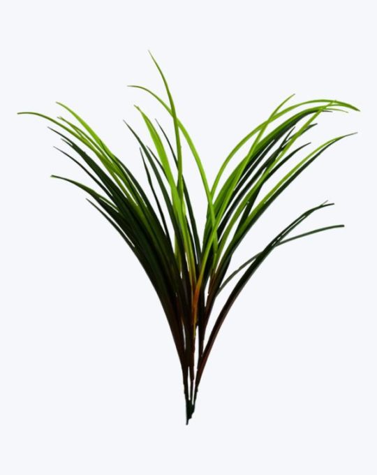 PASTO VAINILLA LARGO