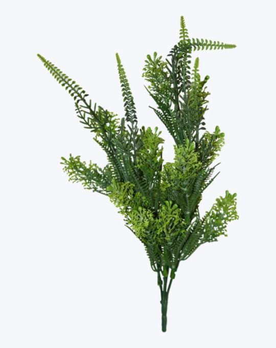 ESPARRAGO CON ESPIGA