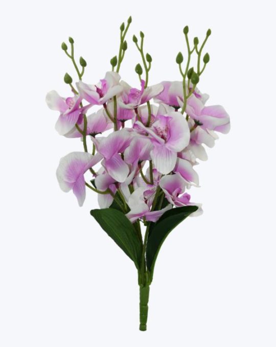 ORQUIDEA X 5