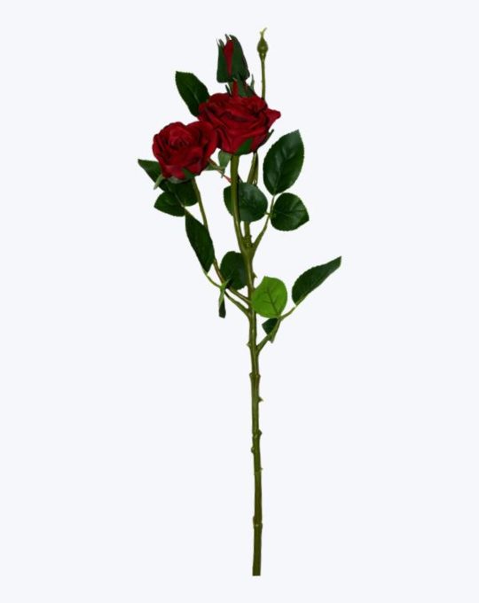 ROSA CON BOTÓN TEXTURA