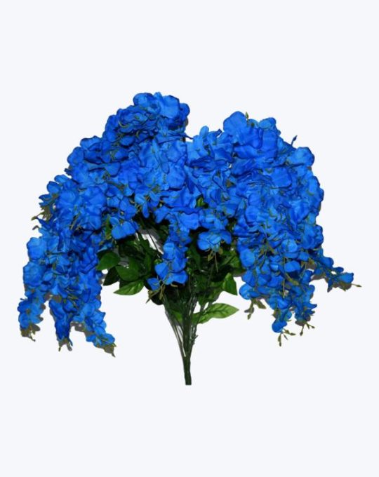 WSITERIA COLGANTE X 24