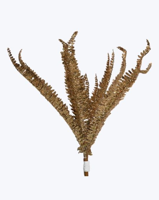 HELECHO CON DIAMANTINA