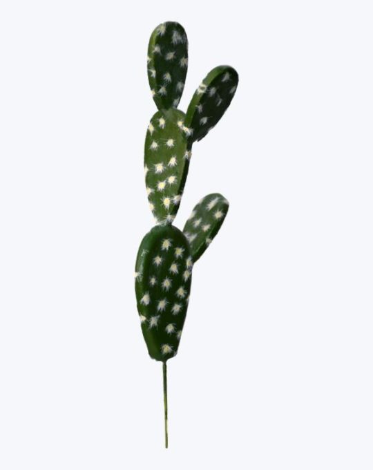 NOPAL