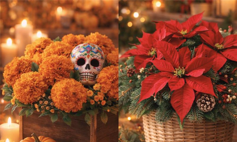 Catálogo Otoño-Navidad 2025