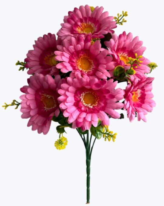 RAMO GERBERA