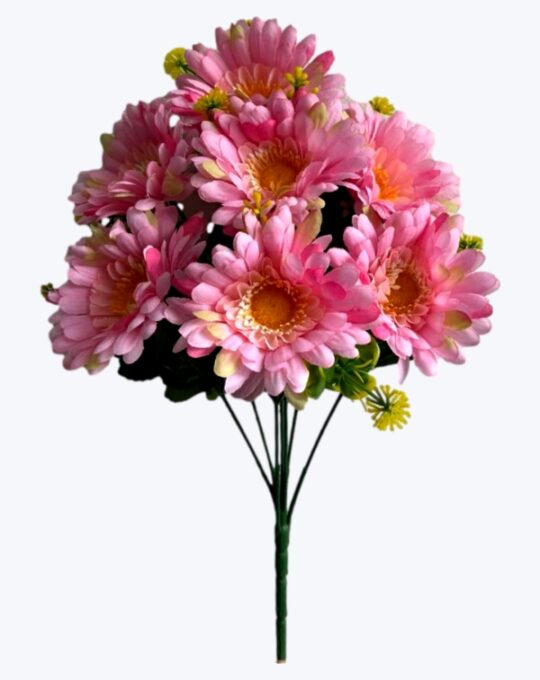 RAMO GERBERA