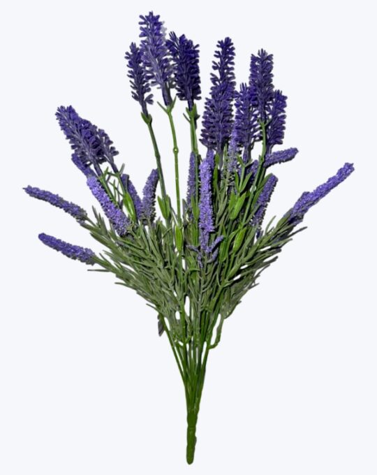 RAMO LAVANDA