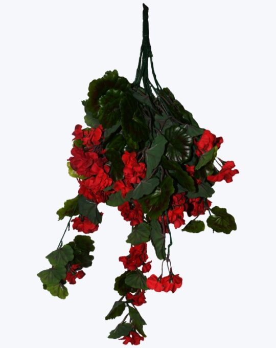 COLGANTE GERANIO