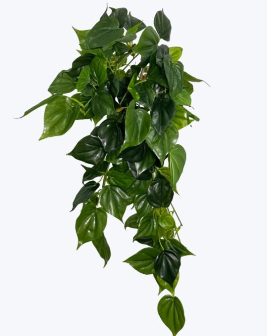 COLGANTE CON PROTECCIÓN UV