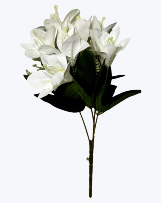 RAMO MINI AZUCENA X7