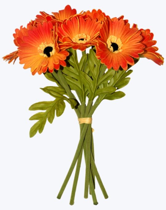BOUQUET DE GERBERA