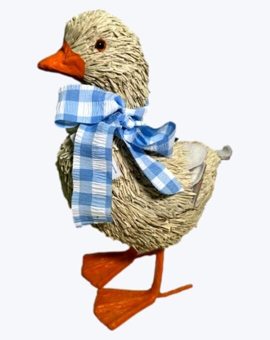 GANSO CON MOÑO AZUL