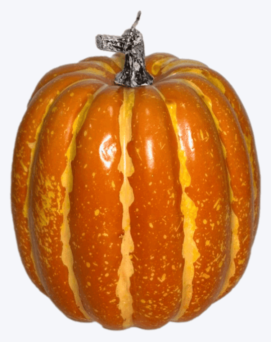 CALABAZA BRILLO