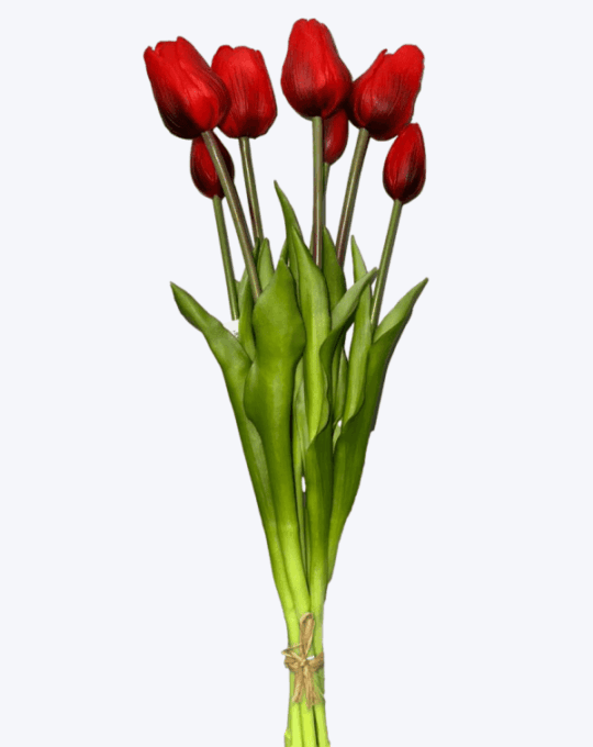 TULIPAN X 7 TEX. NATURAL