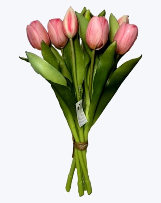 TULIPAN X 7 CHICO TEXTURA NATURAL