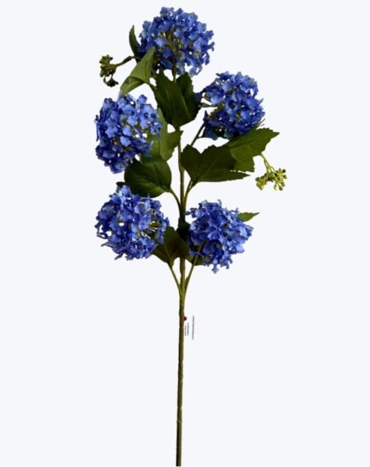 VARA HORTENSIA