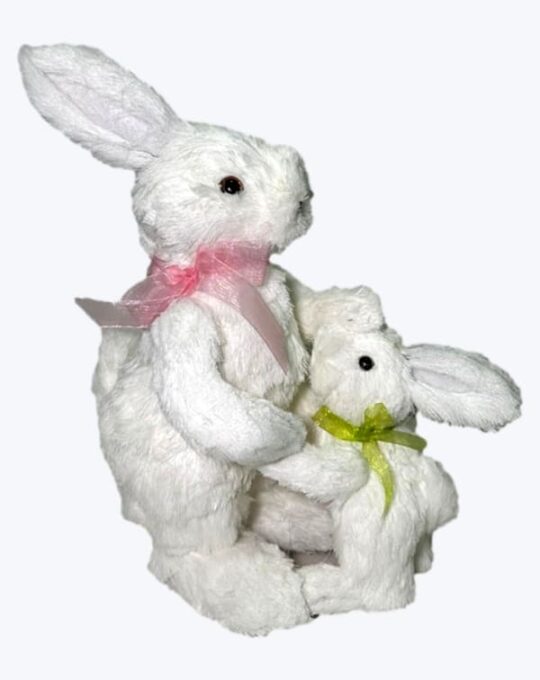 CONEJO BLANCO CON CRÍA