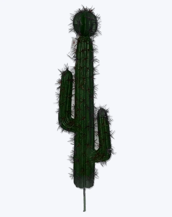 Cactus alto