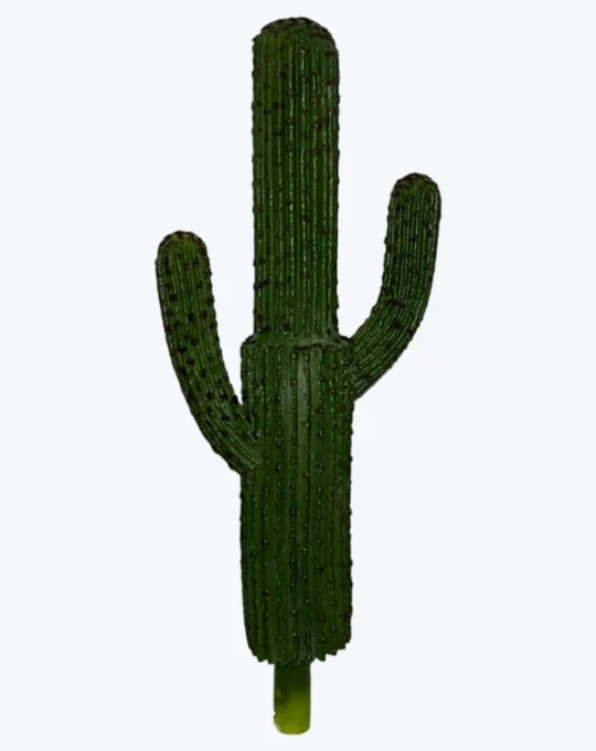 Cactus clásico