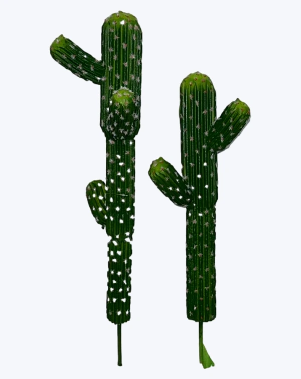 Cactus doble alto