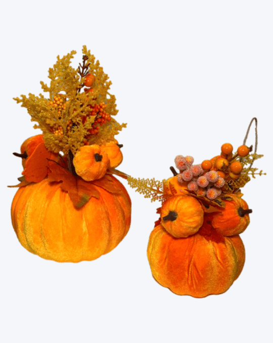 CALABAZA TERCIOPELO