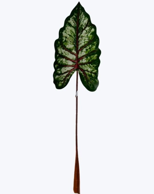 CHICA ALCATRAZ CALADIUM ROSA