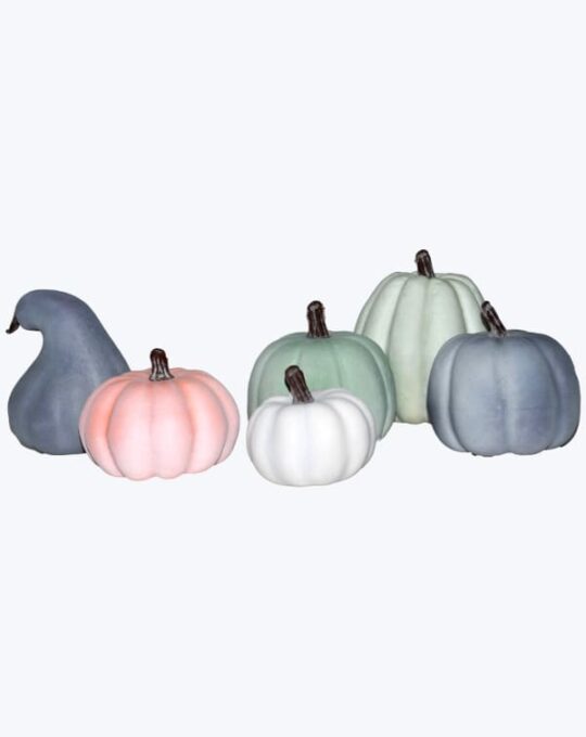 SET CALABAZAS 6 PZAS