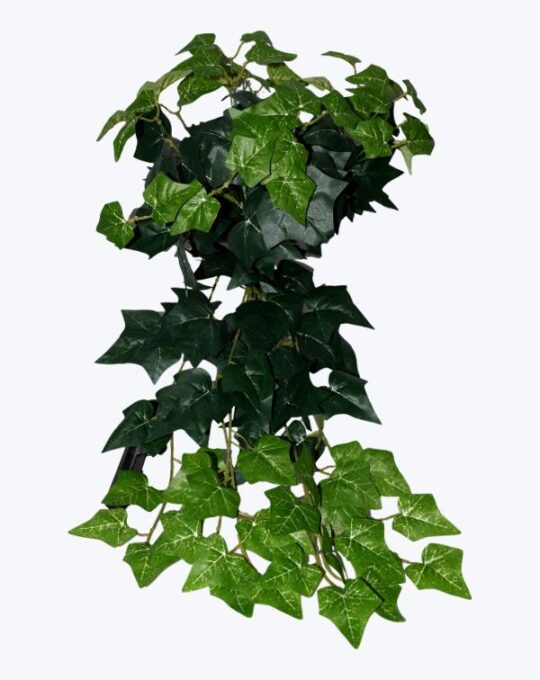 FOLLAJE COLGANTE HIEDRA