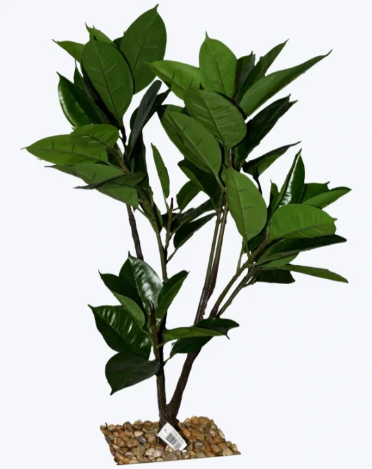 ÁRBOL HOJA DE AGUACATE