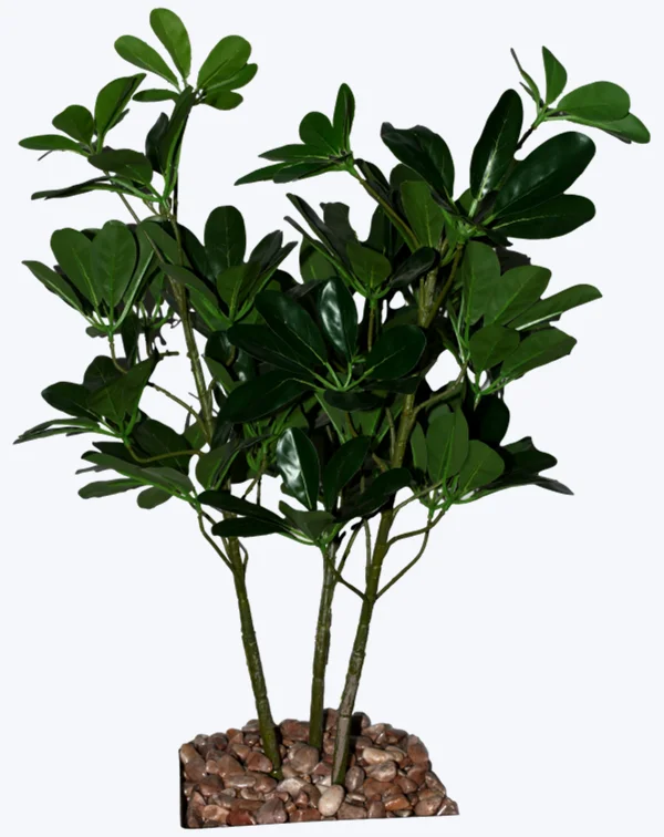Planta verde