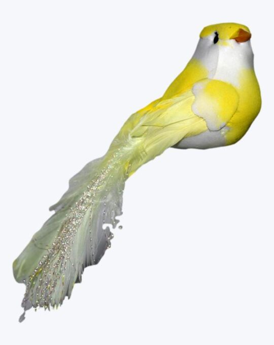 PAJARO COLA BRILLOSA