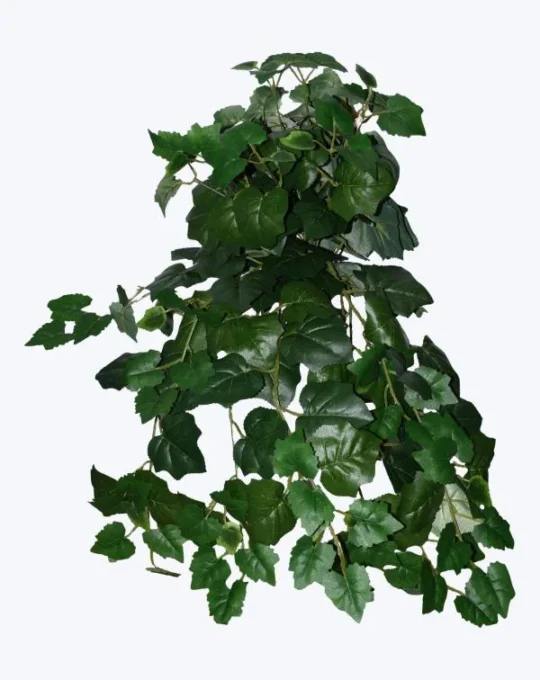 FOLLAJE COLGANTE MILONARIA