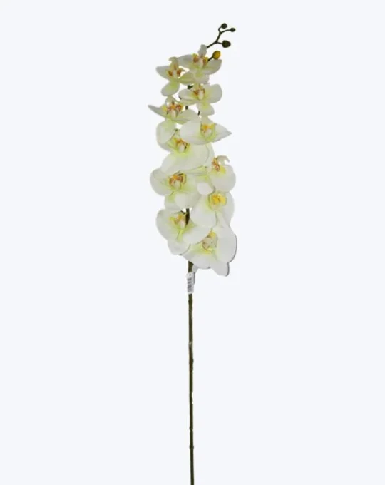 ORQUIDEA TEXTURA NATURAL X 11