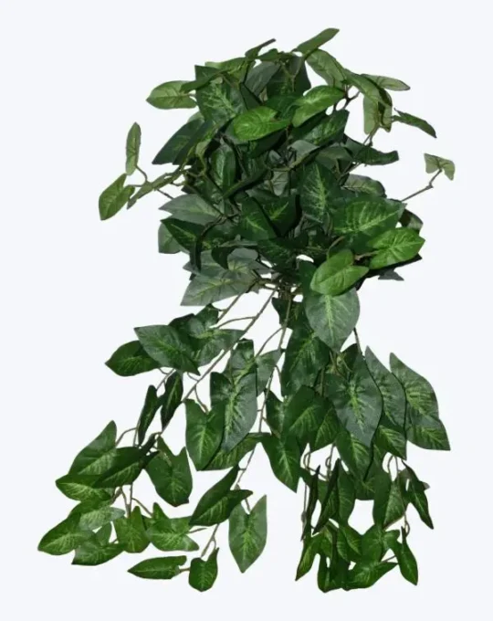 FOLLAJE COLGANTE PATA DE CHIVO