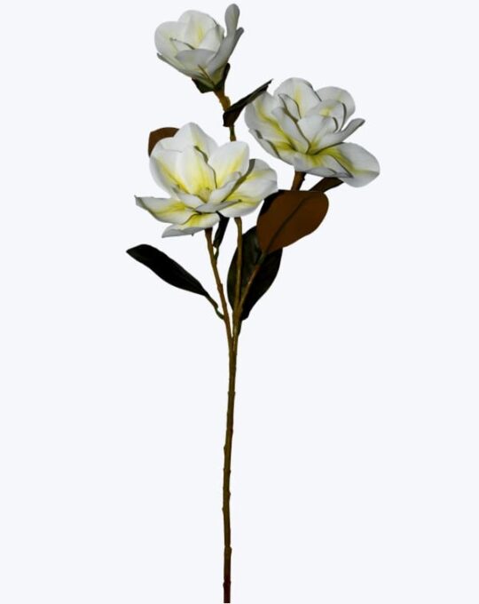 VARA MAGNOLIA
