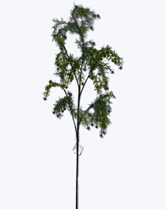 VARA FRUTO DE PEZ DORADO