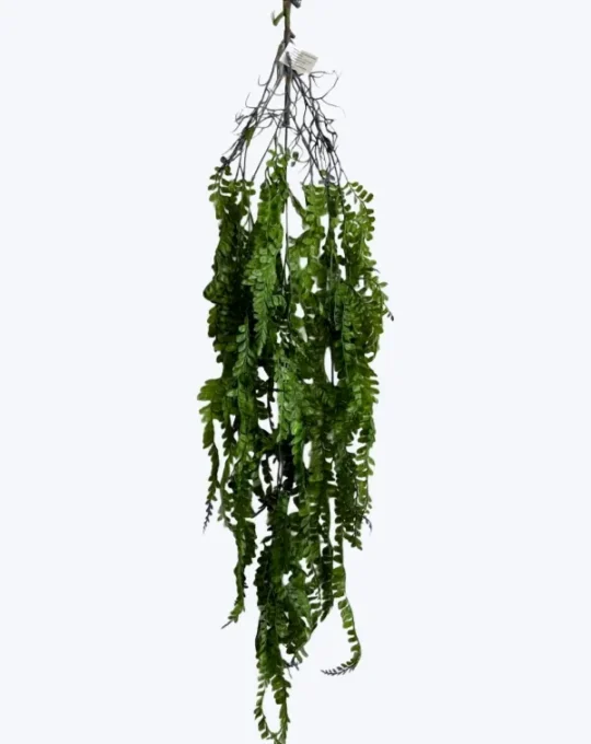 COLGANTE HELECHO CON RAIZ